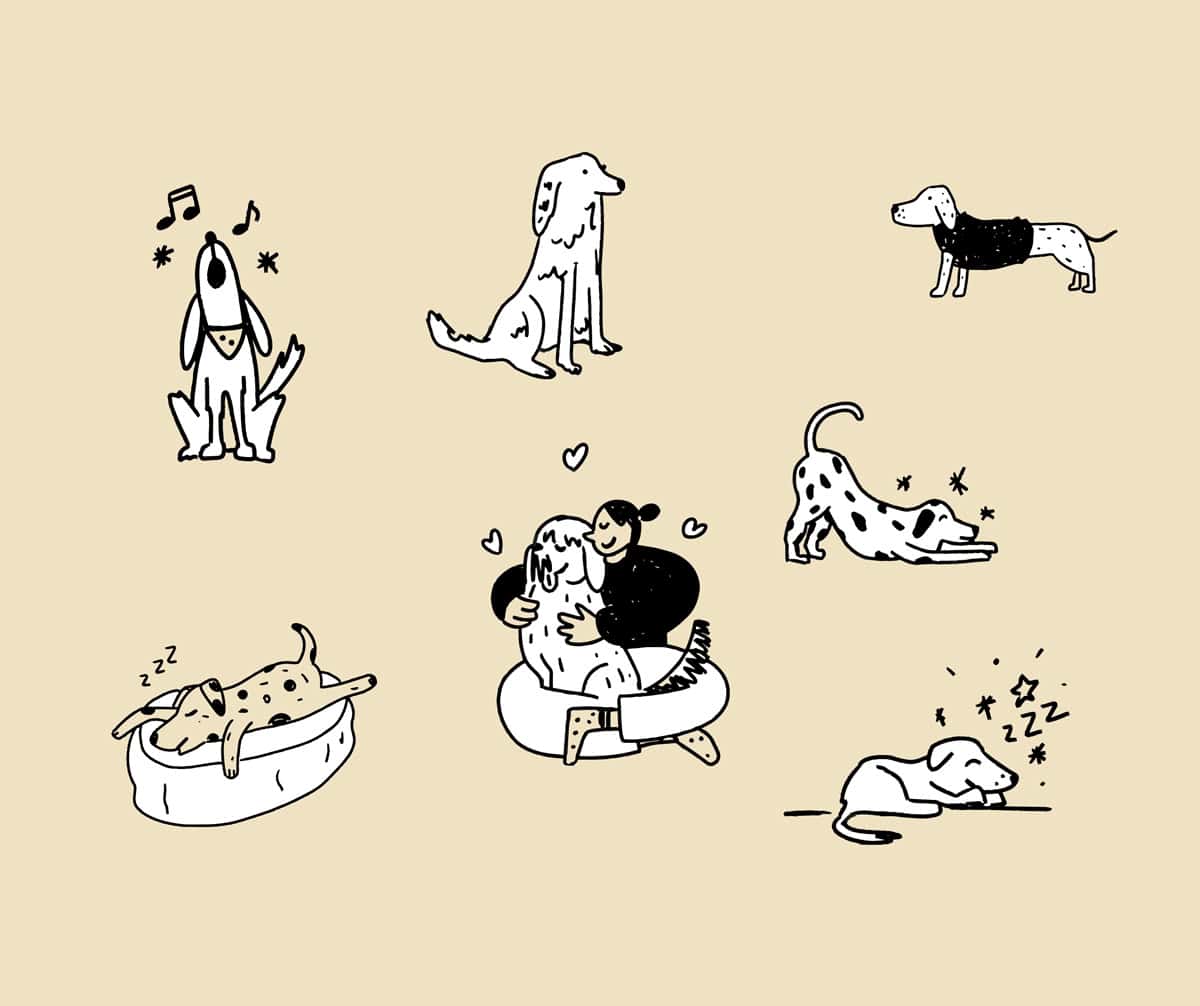 Dog trainer illustrations Dog trainer illustrations