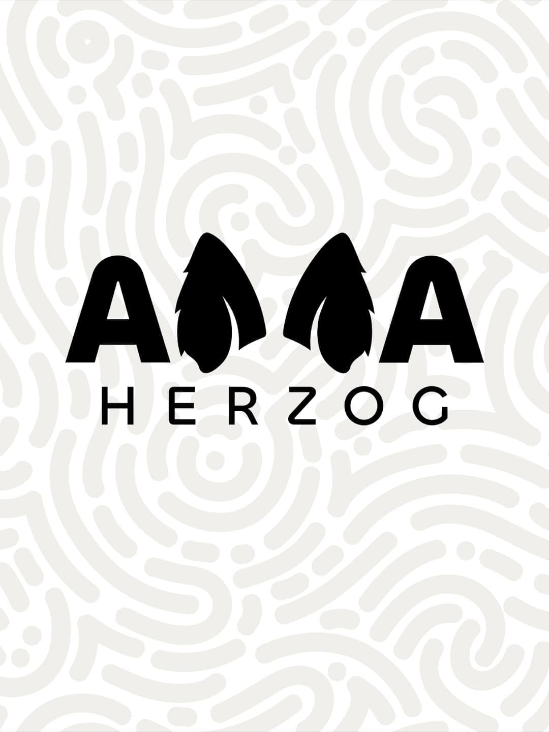 Anna Herzog brand idenity